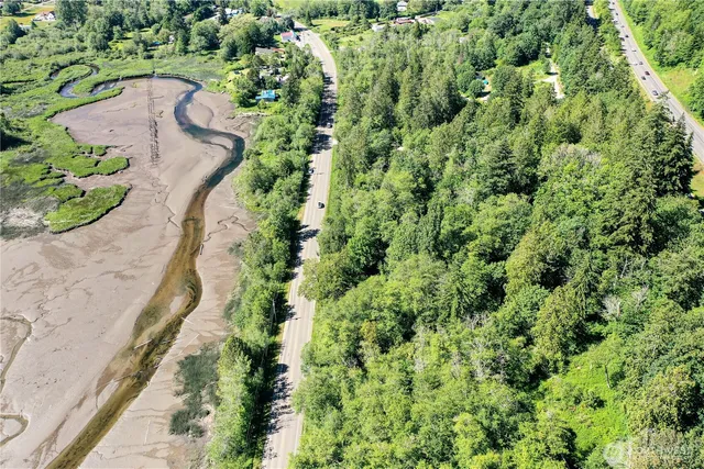 a view of a yard with plants