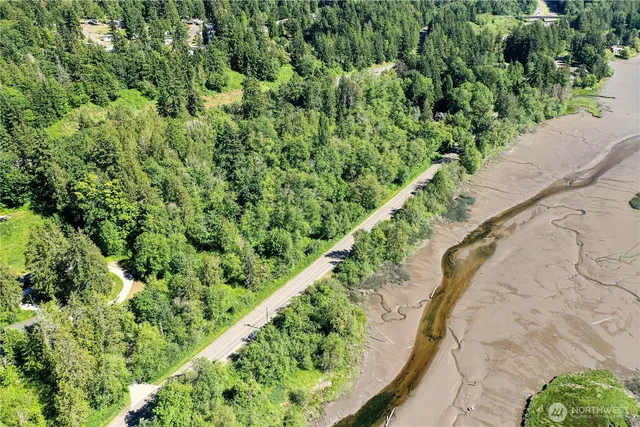 a view of a garden with a plant