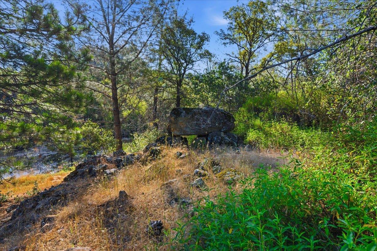 22233 McCourtney Road Grass Valley, CA 95949 - Photo 41 of 89