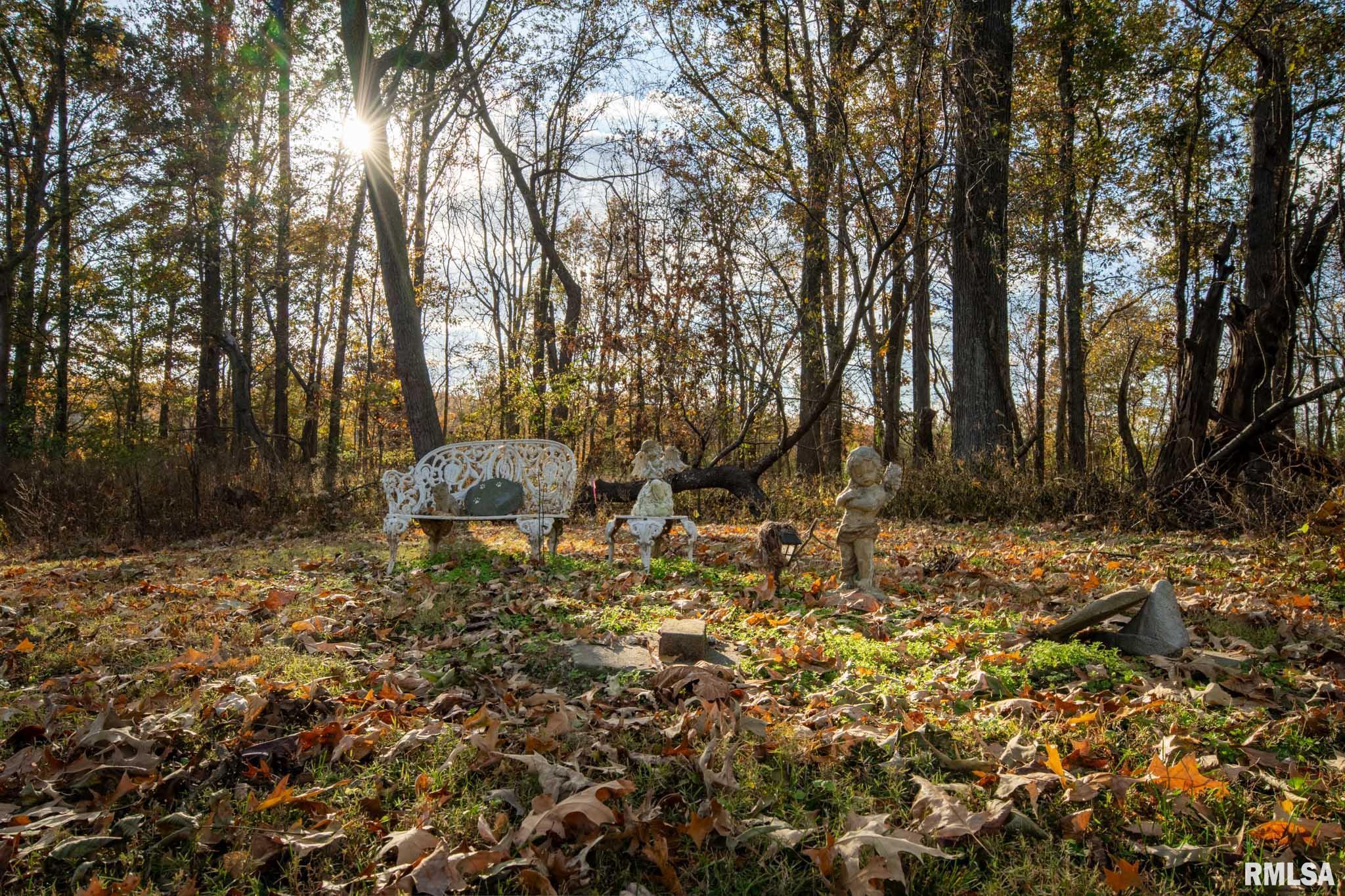 395 North Hankins Road Harrisburg, IL 62946 - Photo 20 of 28