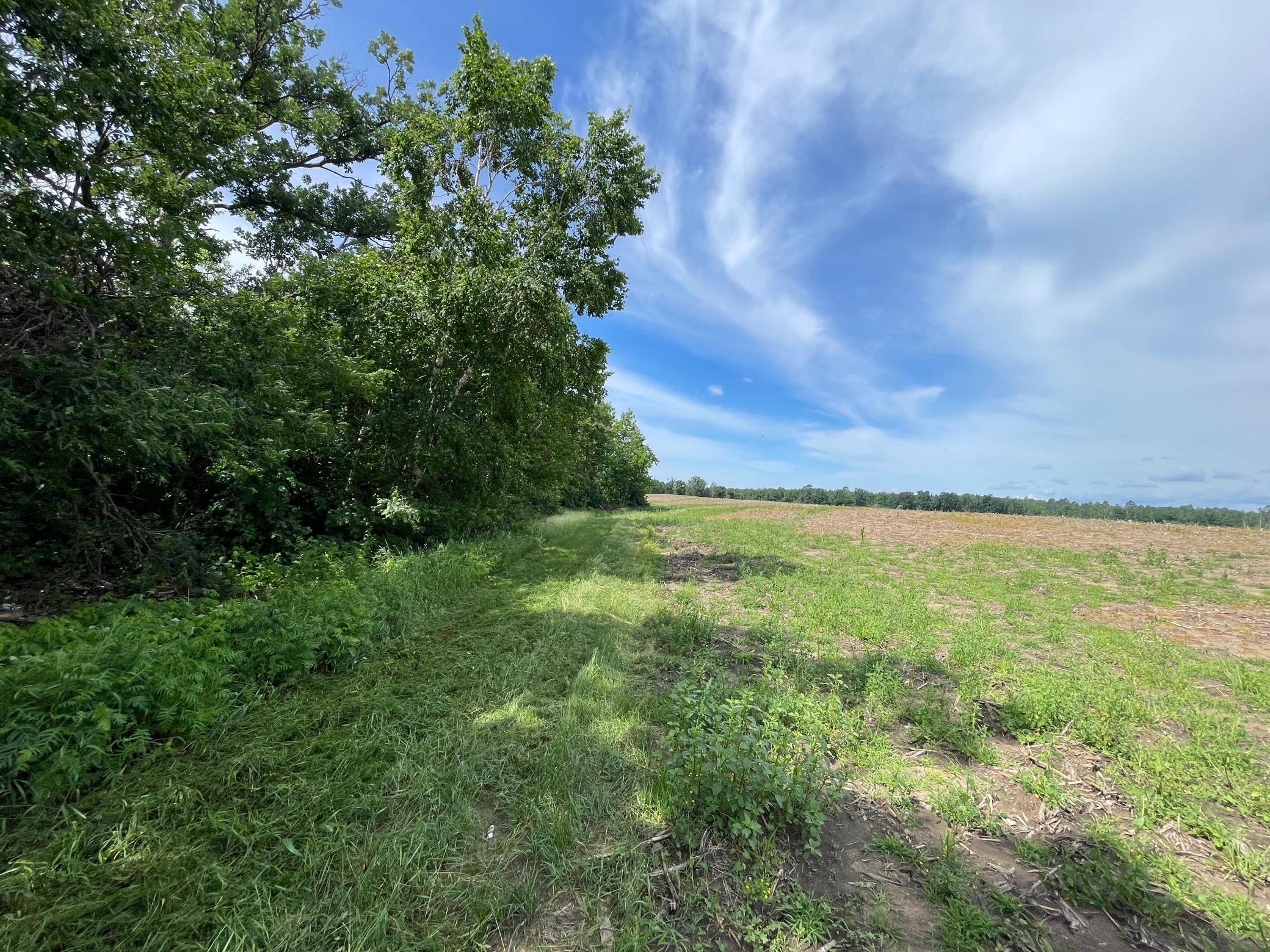 Tbd2 Boot Lake Road Southwest Bemidji, MN 56601 - Photo 23 of 54