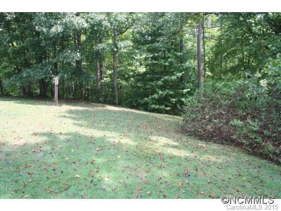 310 Griggs Road Old Fort, NC 28762 - Photo 4 of 22 Gallery Image 4