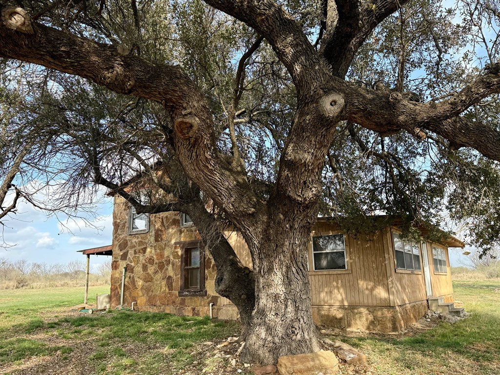 6098 Smith Road Mason, TX 76856 - Photo 11 of 11