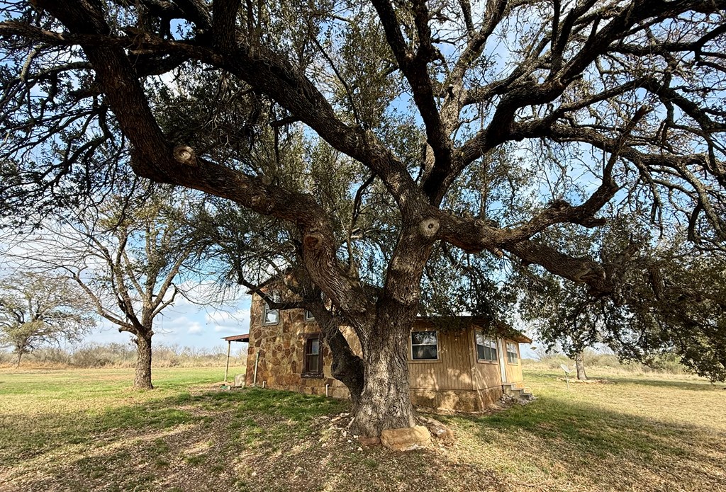 6098 Smith Road Mason, TX 76856 - Photo 4 of 11