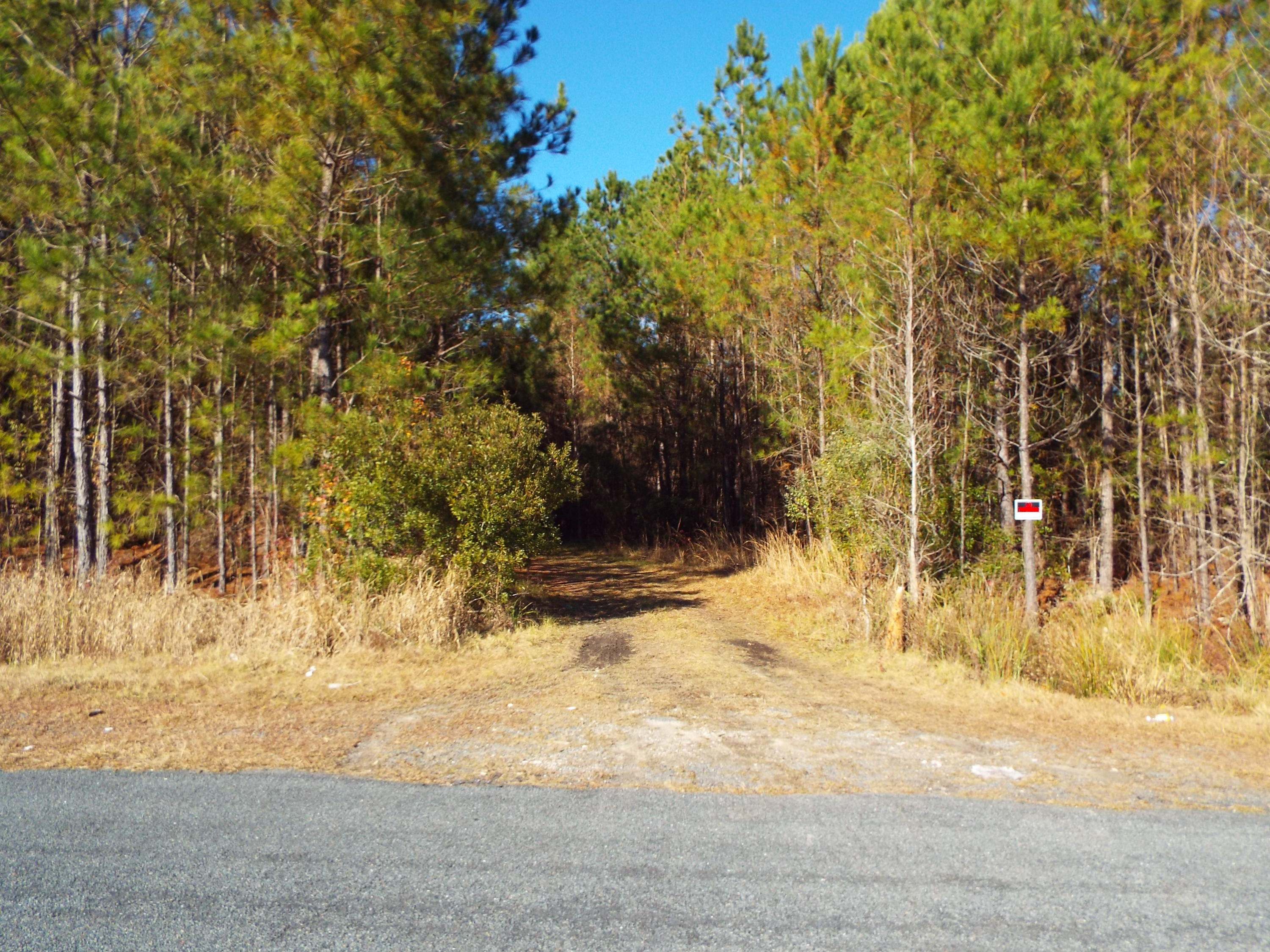 0 Redbank Road Walterboro, SC 29488 - Photo 1 of 19 DSCF8395
