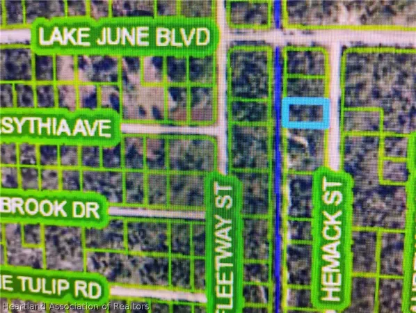 $11,999 | 959 Hemack Street, Lake Placid, FL 33852