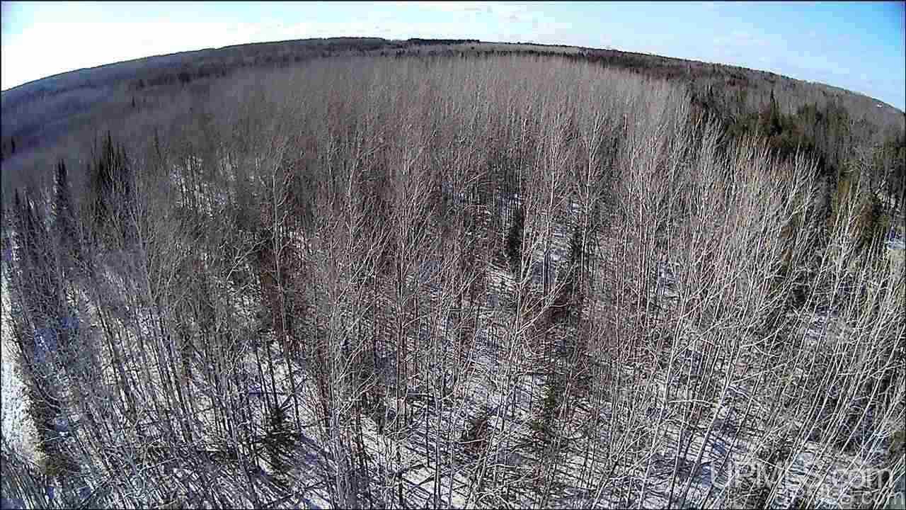 8972 Co Road Rapid River, MI 49878 - Photo 9 of 46