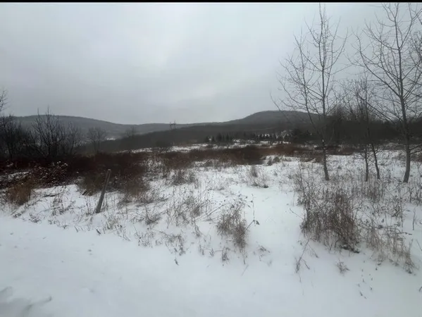 $65,000 | Narrow Notch Road, Hobart, NY 13788