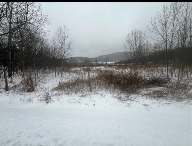 Narrow Notch Road Hobart, NY 13788 - Photo 2 of 3