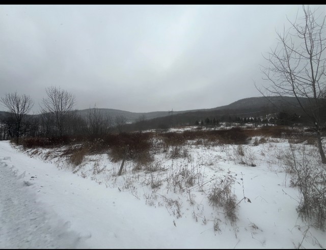 Narrow Notch Road Hobart, NY 13788 - Photo 3 of 3