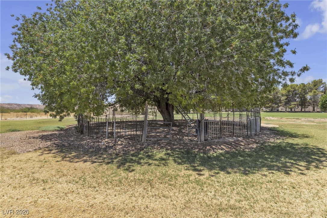 825 West Ryan Avenue Overton, NV 89040 - Photo 68 of 88 View of yard