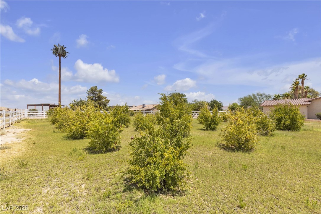 825 West Ryan Avenue Overton, NV 89040 - Photo 73 of 88 View of yard