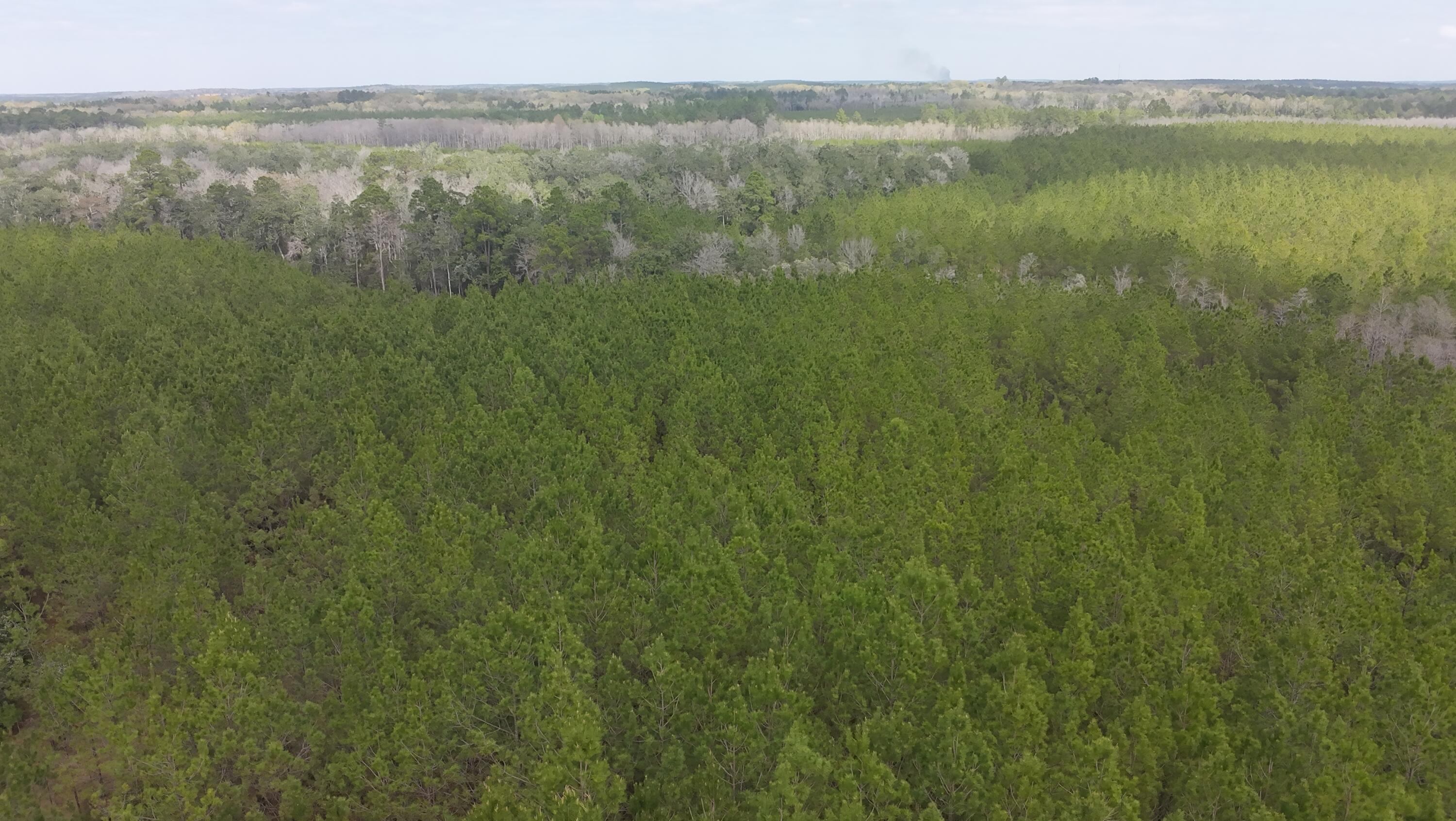 Tract#6418 South Mattox Springs Road, Unit S1 Caryville, FL 32427 - Photo 1 of 8 skyrover_20260314_124304_0063_1773510365