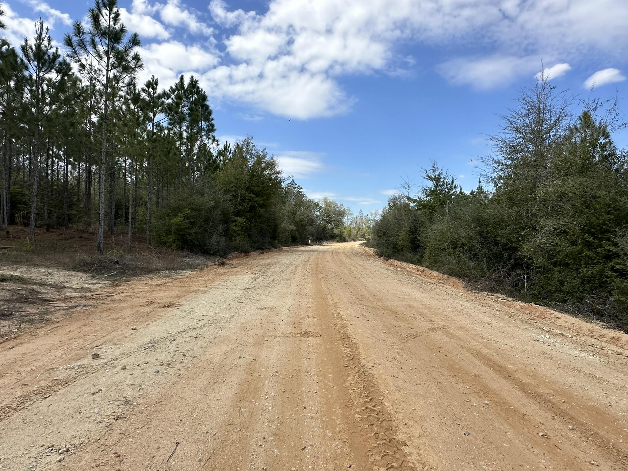 Tract#6418 South Mattox Springs Road, Unit S1 Caryville, FL 32427 - Photo 5 of 8 IMG_7771