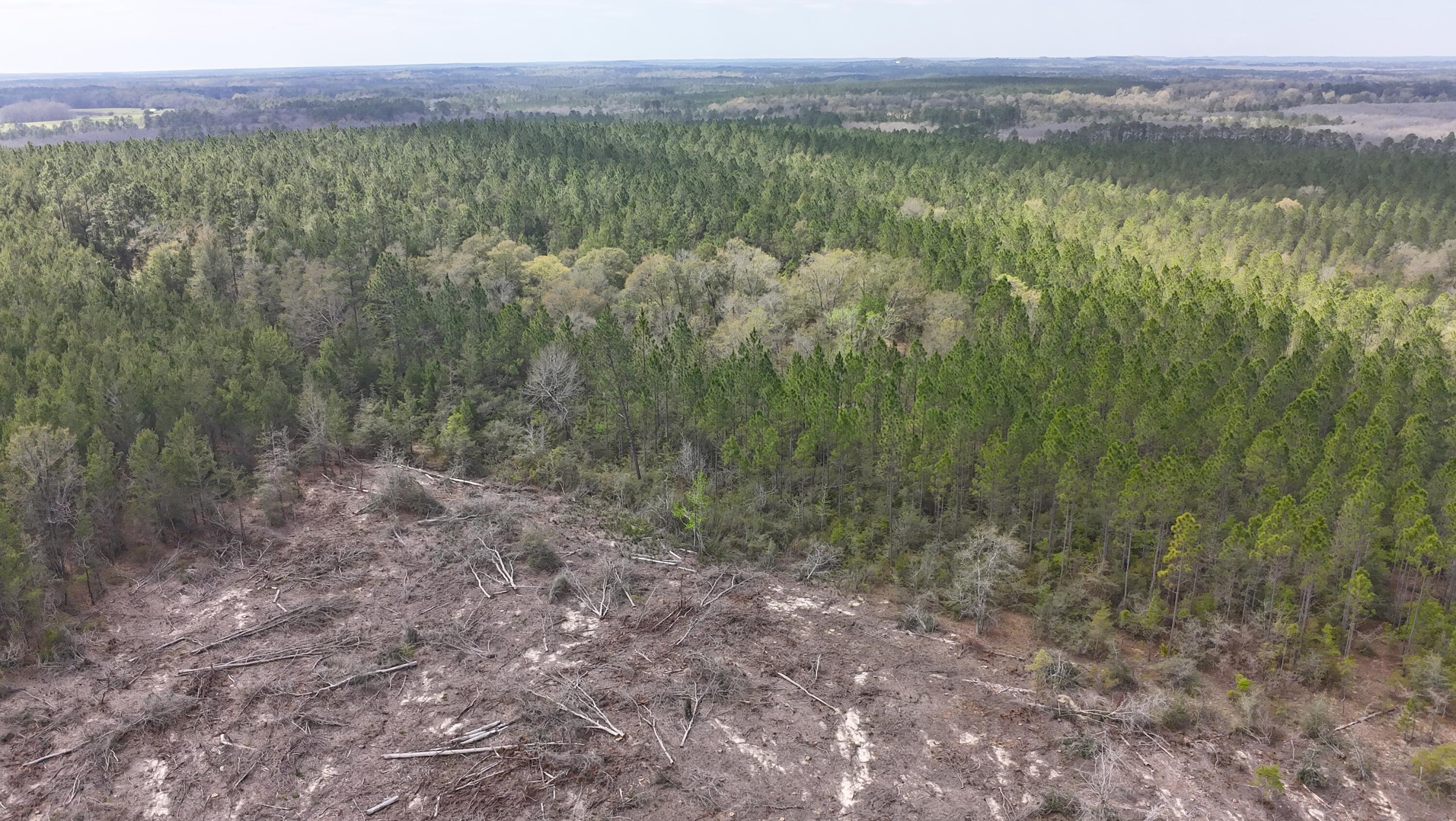 Tract#6418 South Mattox Springs Road, Unit S1 Caryville, FL 32427 - Photo 7 of 8 Est Aerial Location