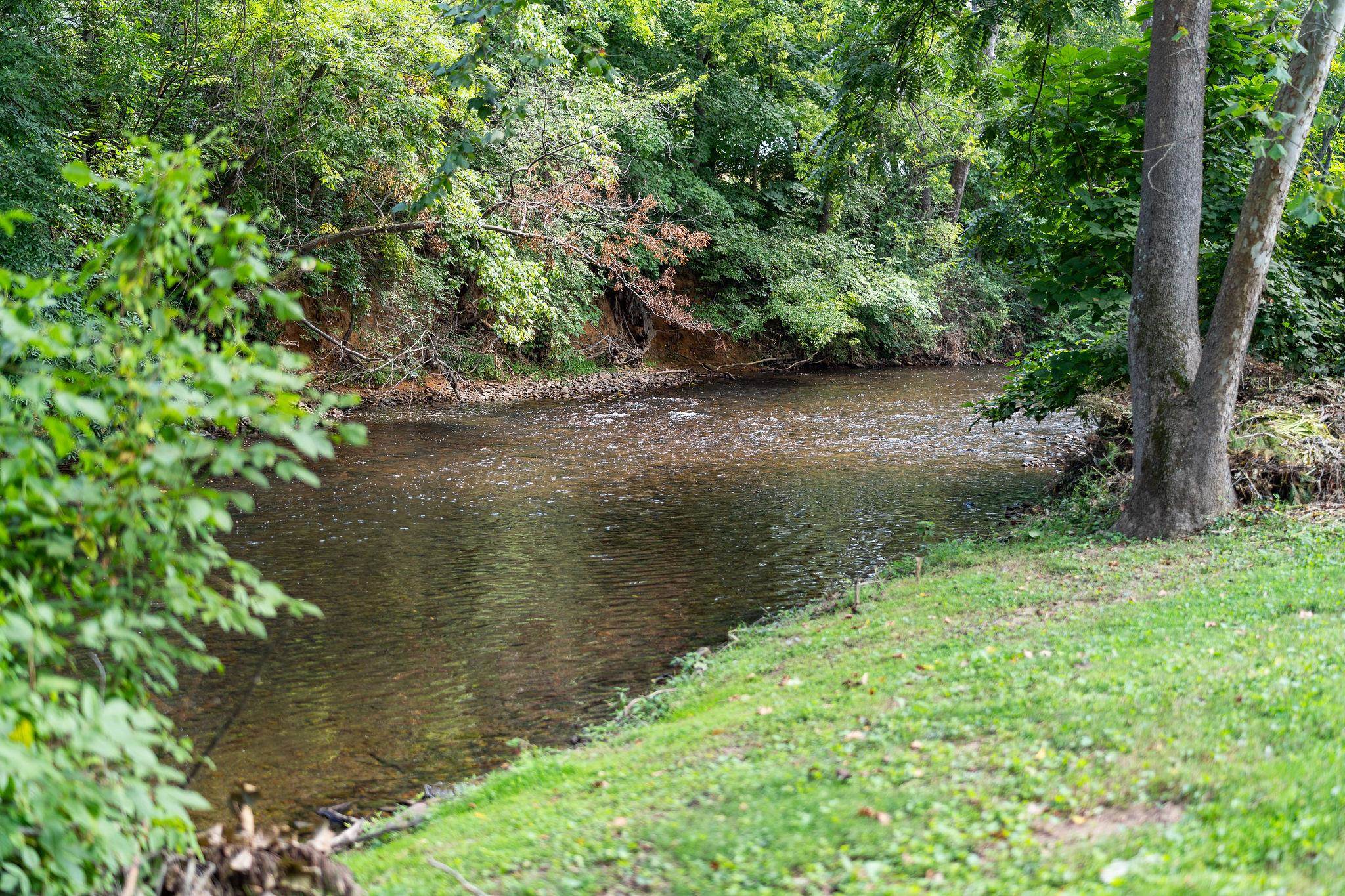 1209 Meadowbrook Road Waynesboro, VA 22980 - Photo 7 of 71 Gallery Image 7