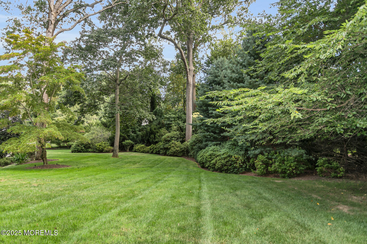 10 Edgewood Road Rumson, NJ 07760 - Photo 36 of 43 a view of a field with a tree