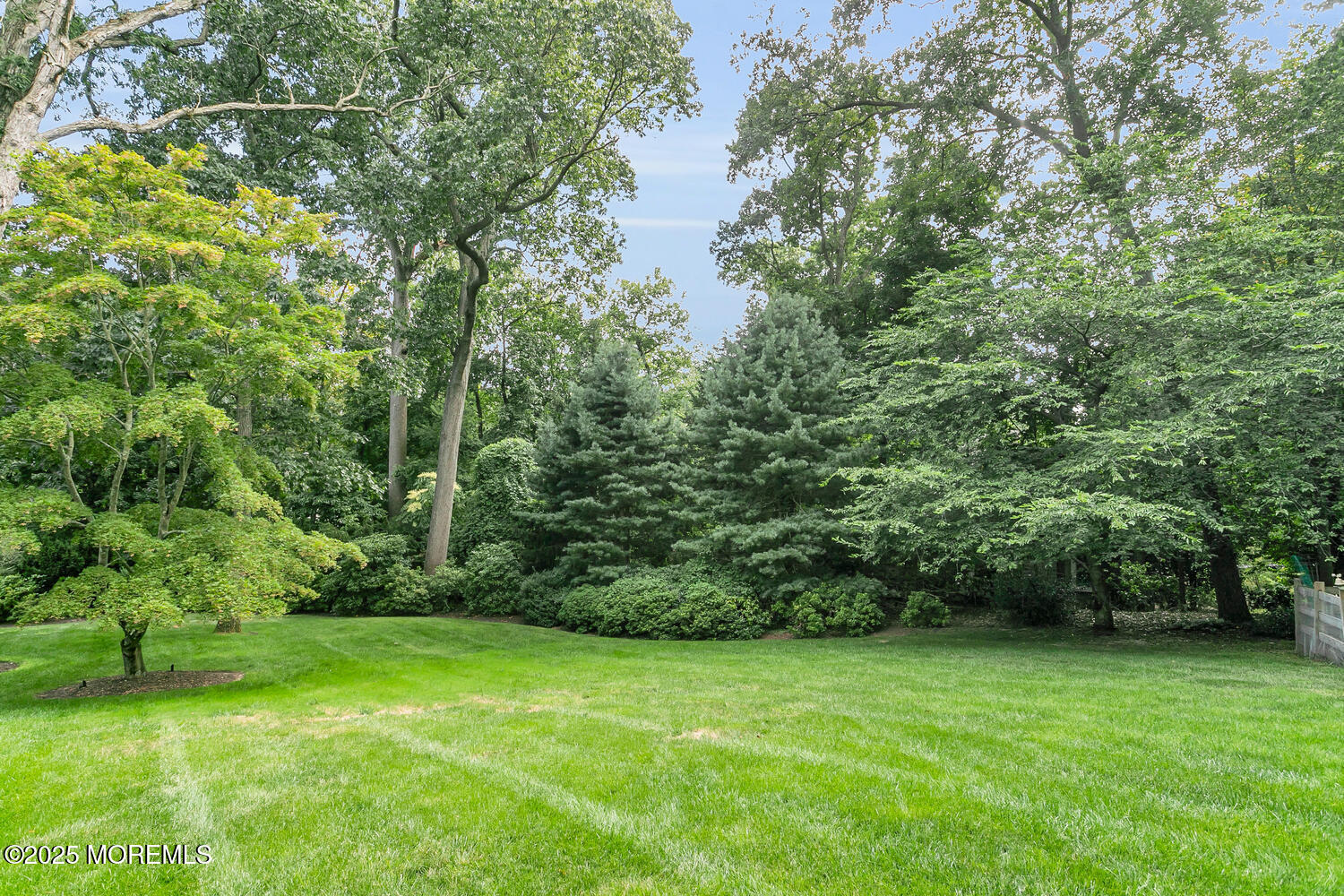 10 Edgewood Road Rumson, NJ 07760 - Photo 40 of 43 a view of a lush green space