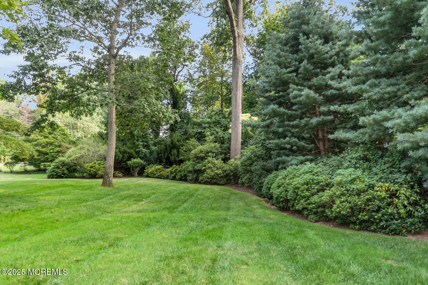 10 Edgewood Road Rumson, NJ 07760 - Photo 42 of 43 a view of a grassy field with trees in the background