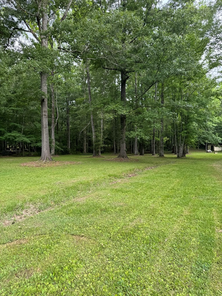 0 Benny Road Roxie, MS 39661 - Photo 11 of 20 Photo 11