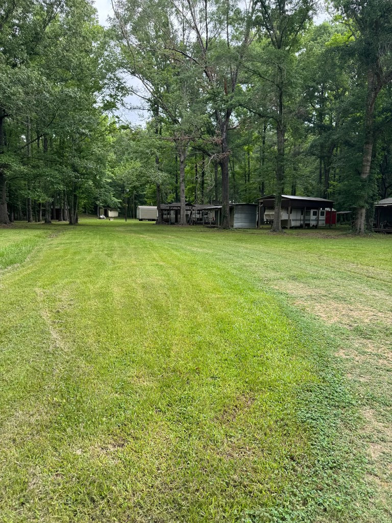 0 Benny Road Roxie, MS 39661 - Photo 12 of 20 Photo 12