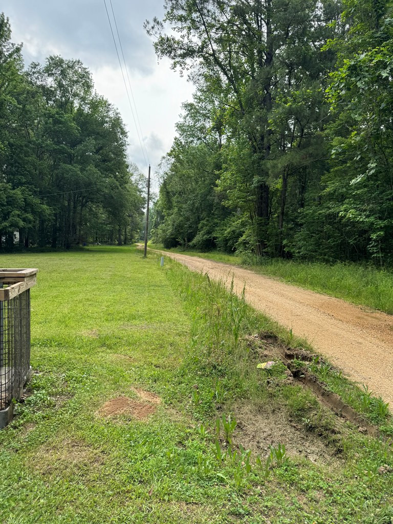 0 Benny Road Roxie, MS 39661 - Photo 14 of 20 Photo 14