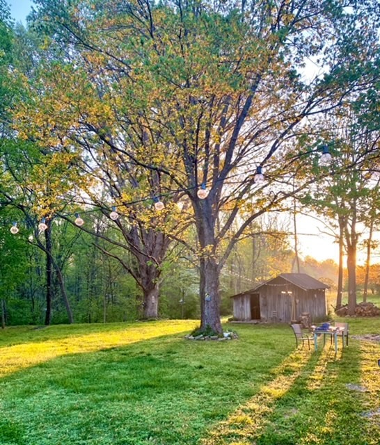 7767 Fernvale Road Fairview, TN 37062 - Photo 44 of 70 a backyard of a house with swimming pool and large trees
