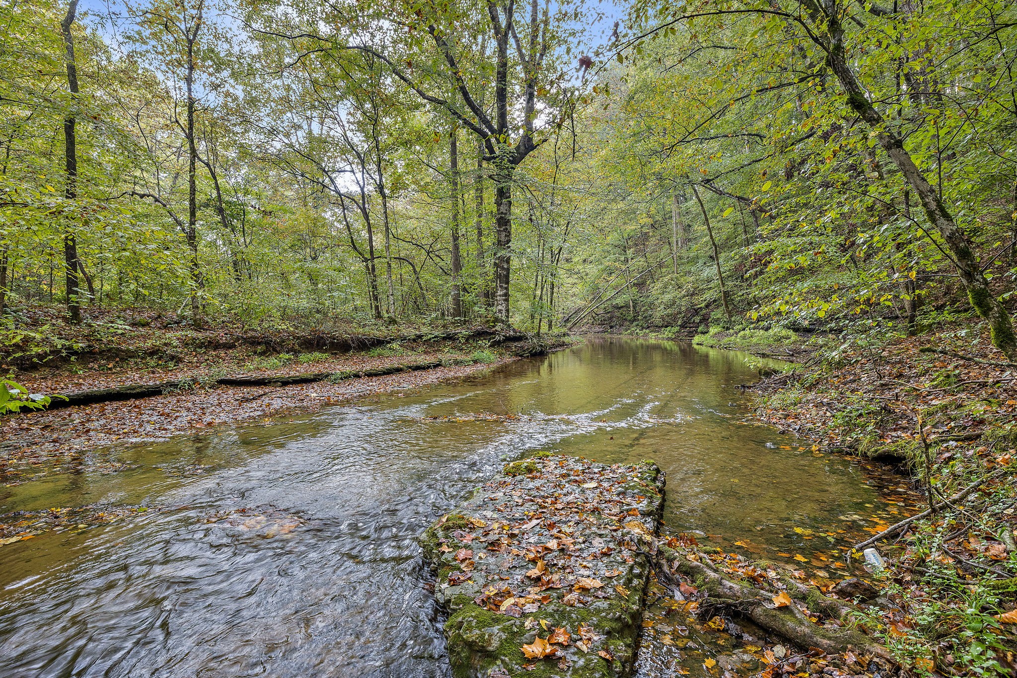 7767 Fernvale Road Fairview, TN 37062 - Photo 7 of 70