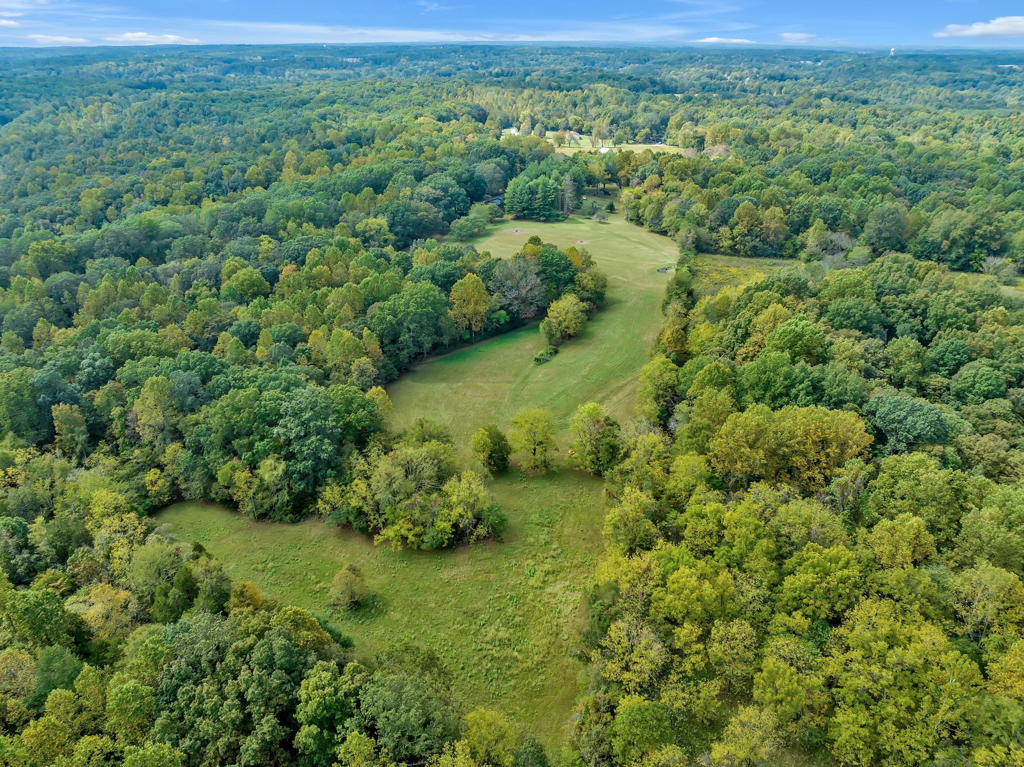 7767 Fernvale Road Fairview, TN 37062 - Photo 8 of 70 a view of a lush green forest with trees and some houses