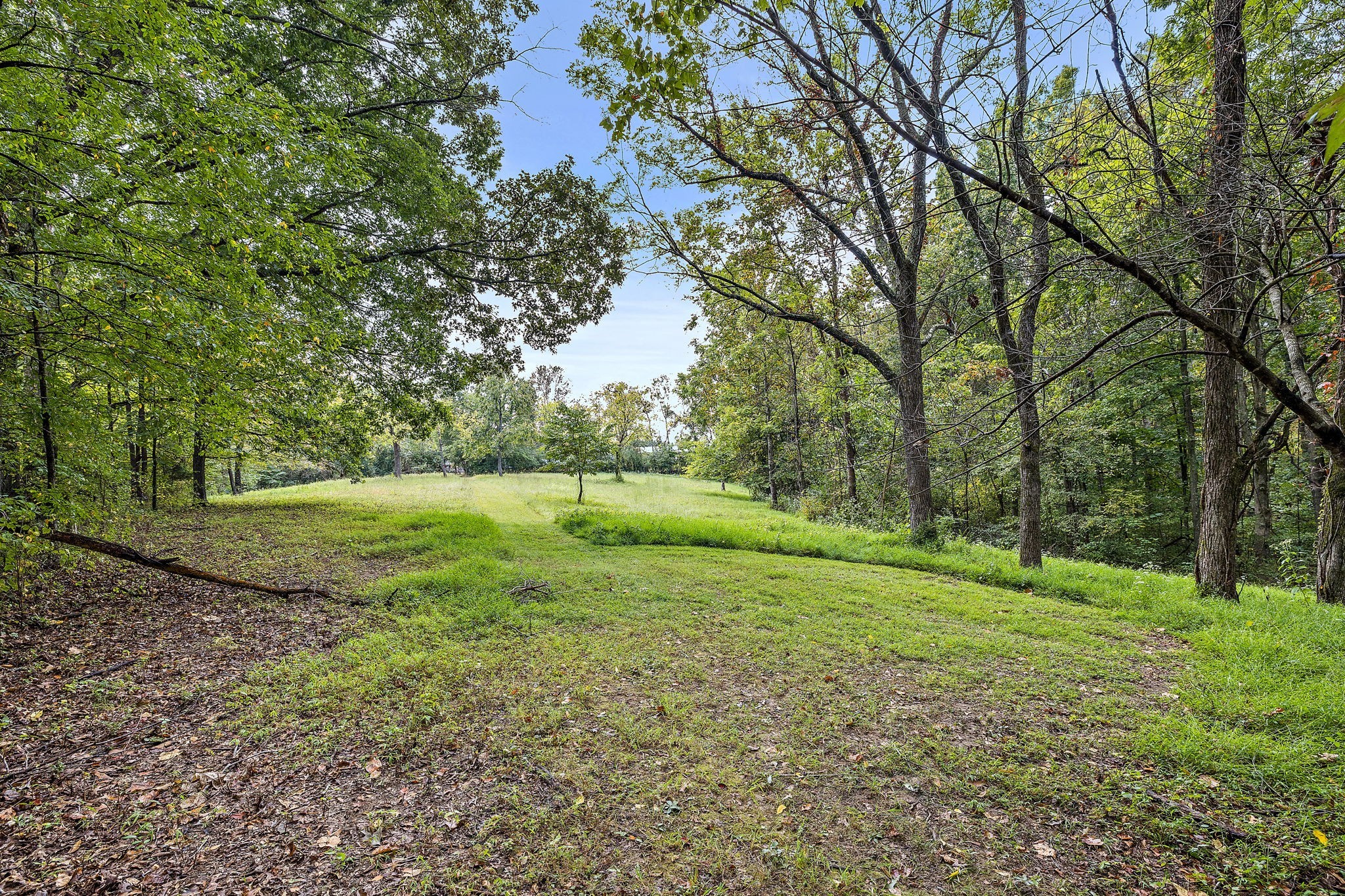 7767 Fernvale Road Fairview, TN 37062 - Photo 10 of 70 a view of a field with trees