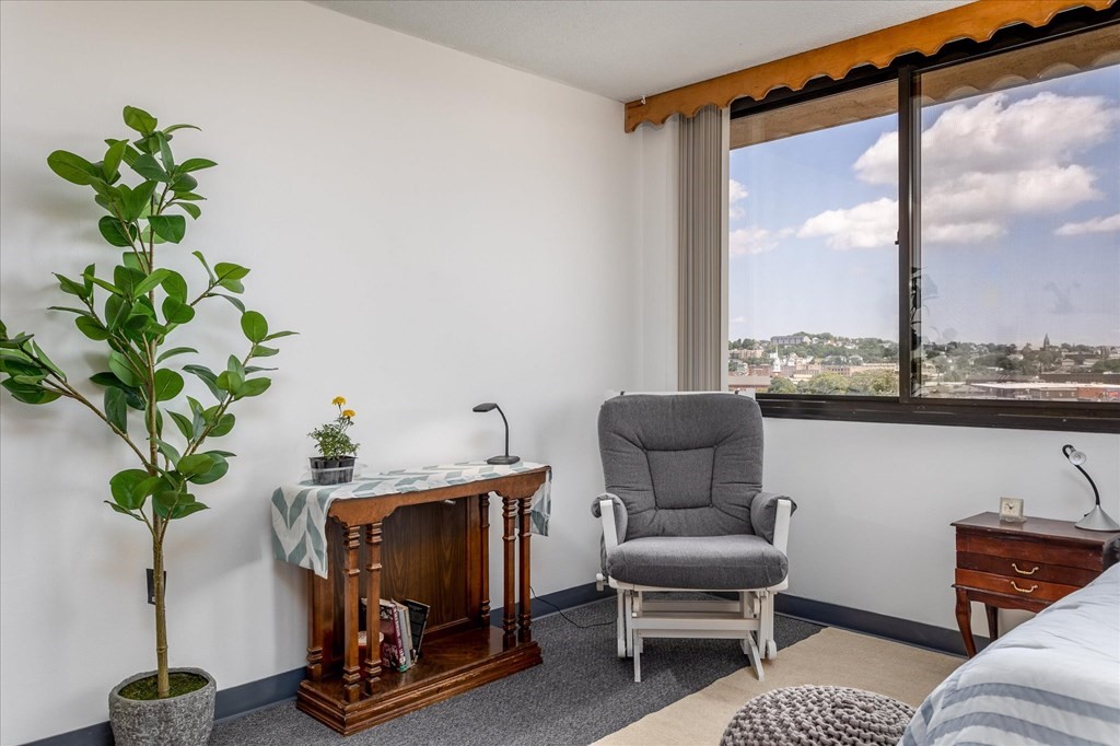 70 Southbridge Street, Unit 910 Worcester, MA 01608 - Photo 3 of 18