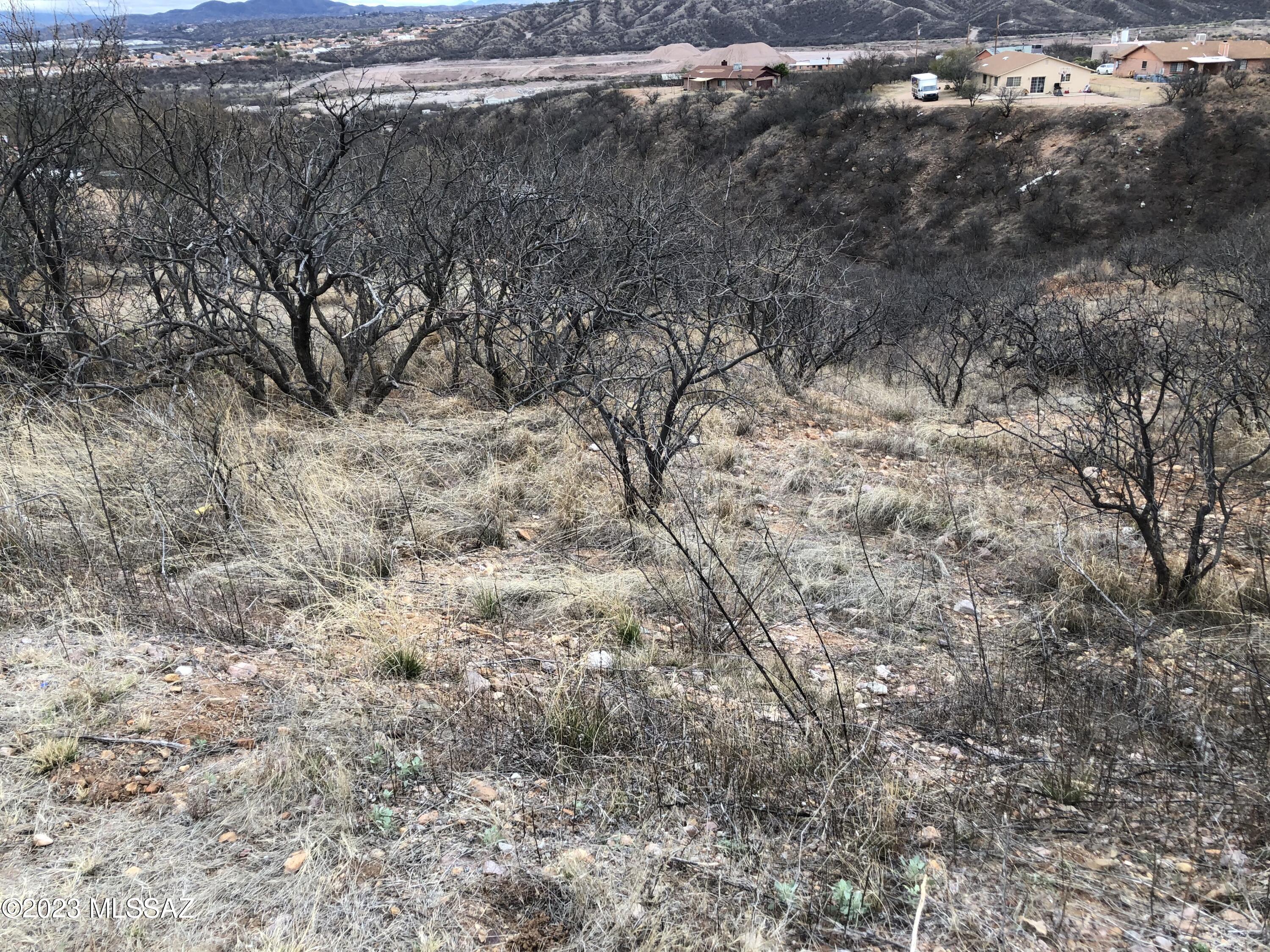 1230 Circulo Yerba Buena, Unit 16 Rio Rico, AZ 85648 - Photo 4 of 5 a view of a dry yard with lots of trees