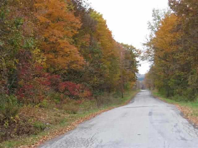 0 Barger Road Medusa, NY 12120 - Photo 1 of 3 Photo 1