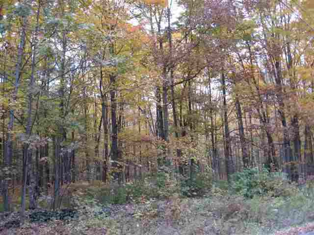 0 Barger Road Medusa, NY 12120 - Photo 2 of 3 Photo 2