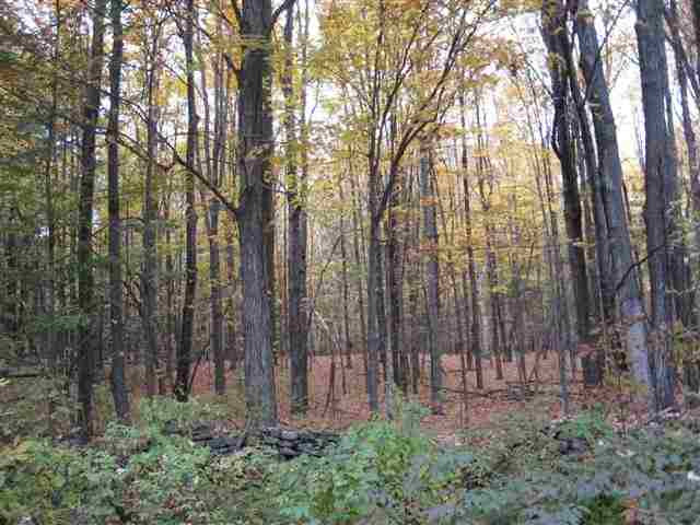 0 Barger Road Medusa, NY 12120 - Photo 3 of 3 Photo 3