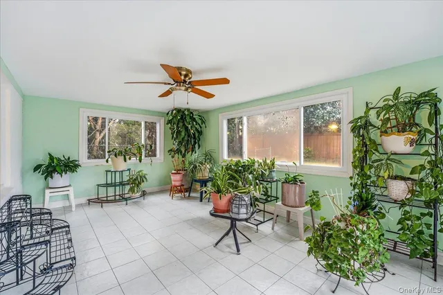 a living room filled with furniture and a potted plant