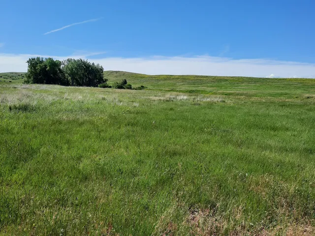 $498,000 | Dry Ranch Road, Sheridan, WY 82801