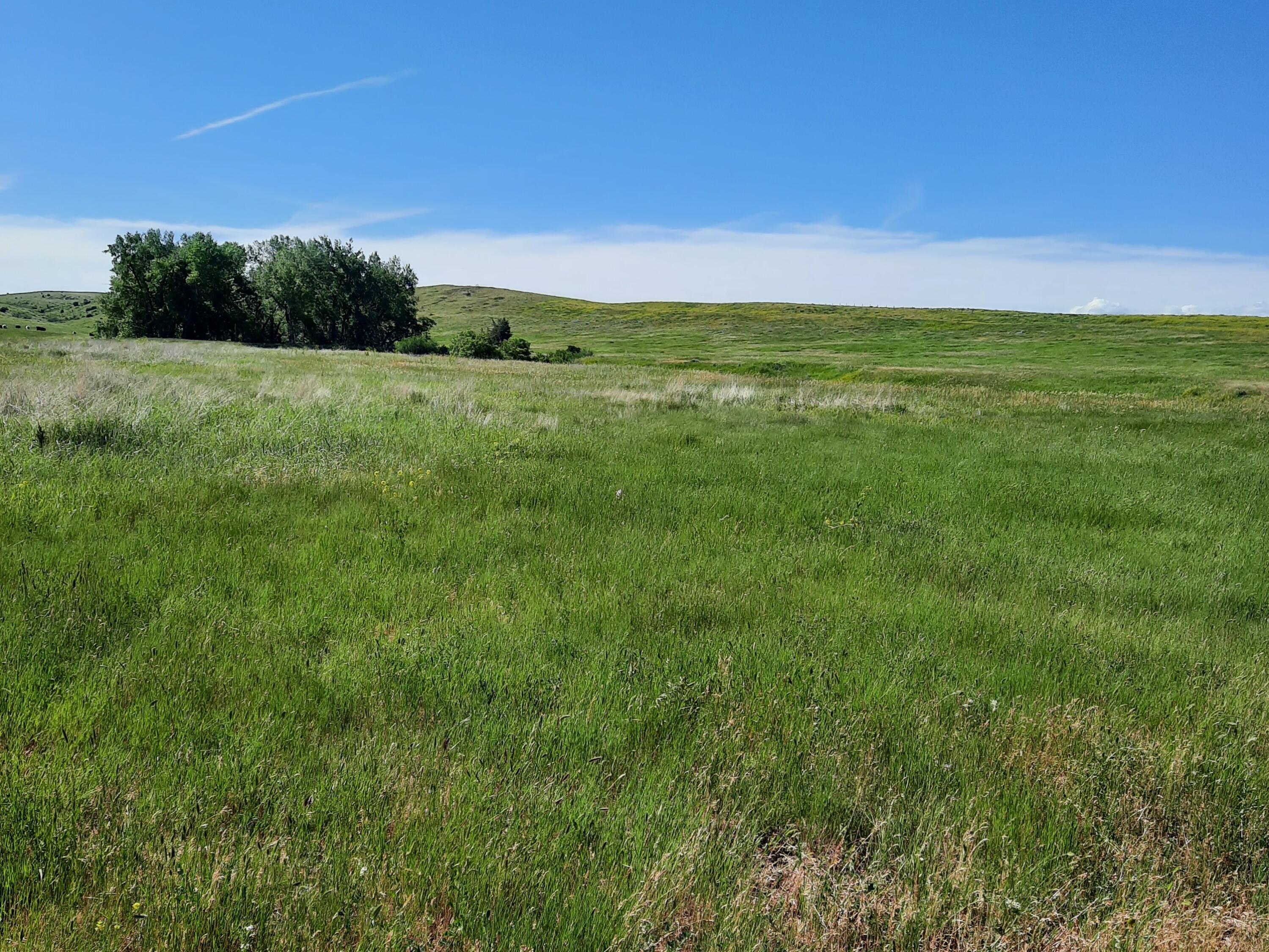 Dry Ranch Road Sheridan, WY 82801 - Photo 11 of 43 11