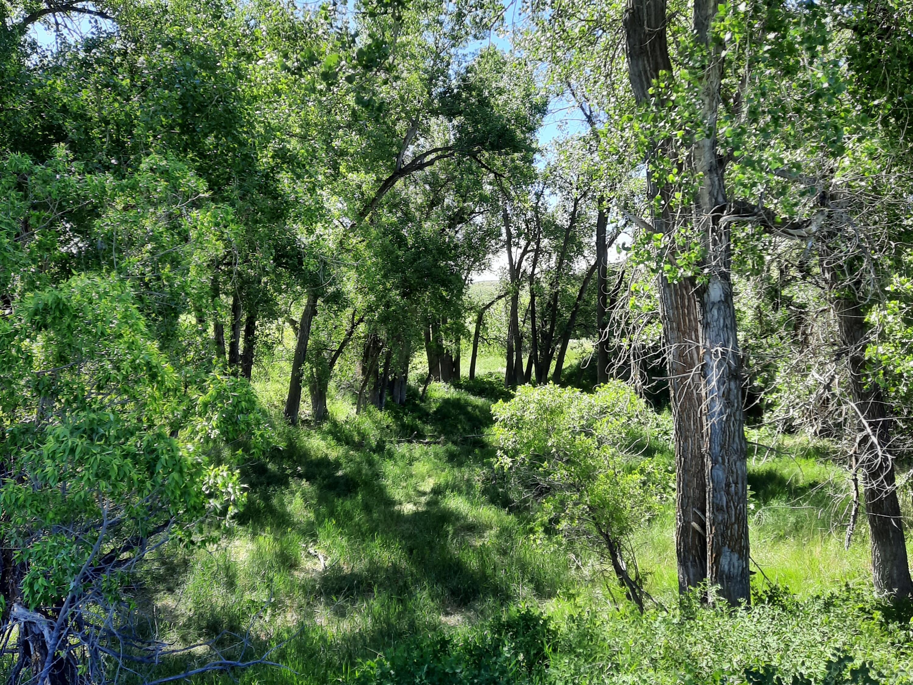 Dry Ranch Road Sheridan, WY 82801 - Photo 12 of 43 12