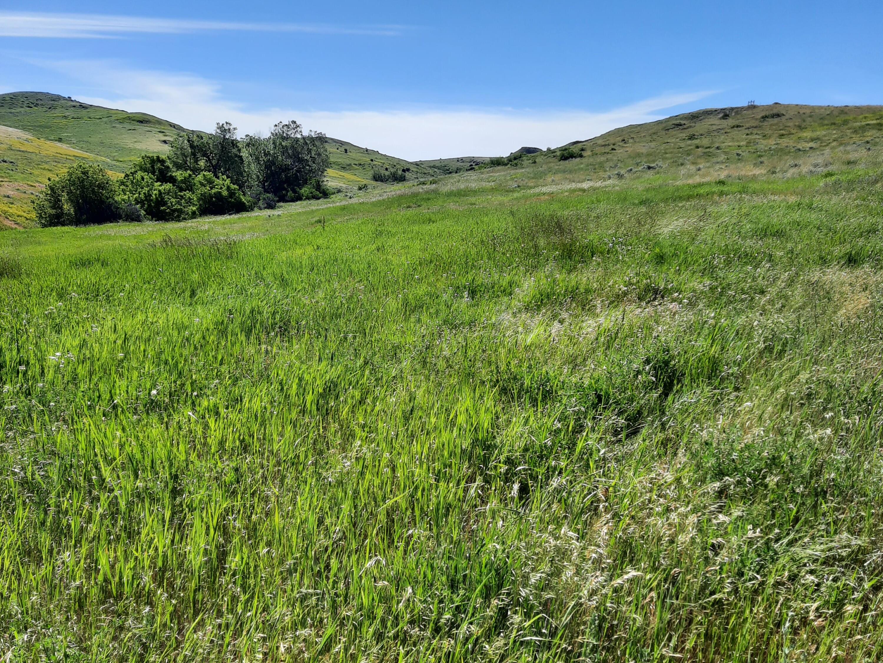 Dry Ranch Road Sheridan, WY 82801 - Photo 14 of 43 14