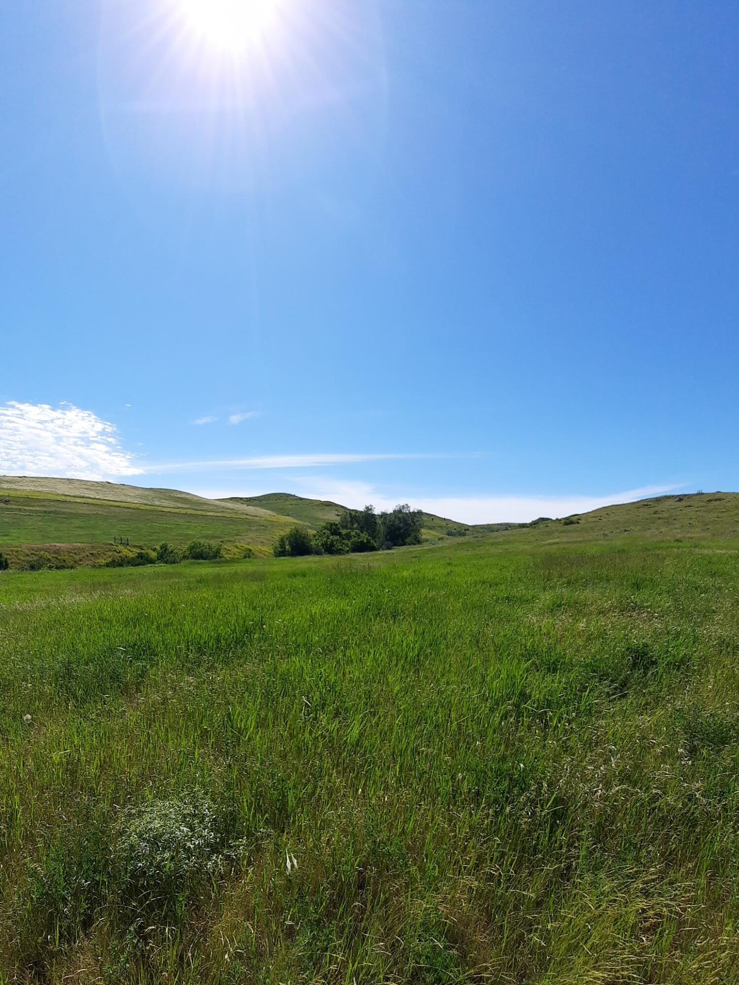 Dry Ranch Road Sheridan, WY 82801 - Photo 15 of 43 15