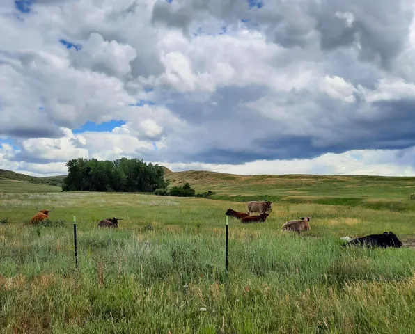 $498,000 | Dry Ranch Road, Sheridan, WY 82801