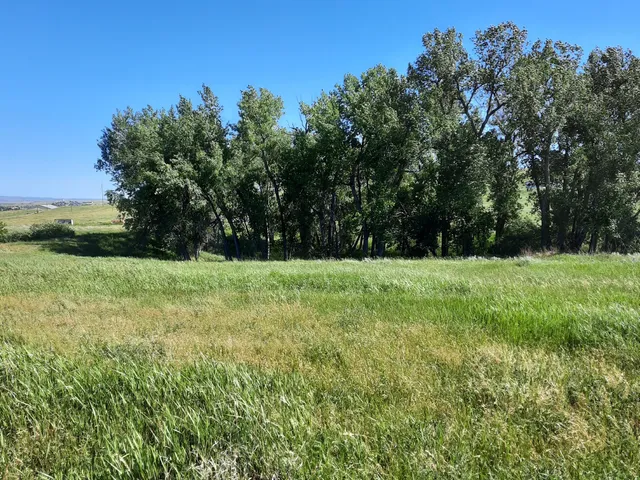 $498,000 | Dry Ranch Road, Sheridan, WY 82801