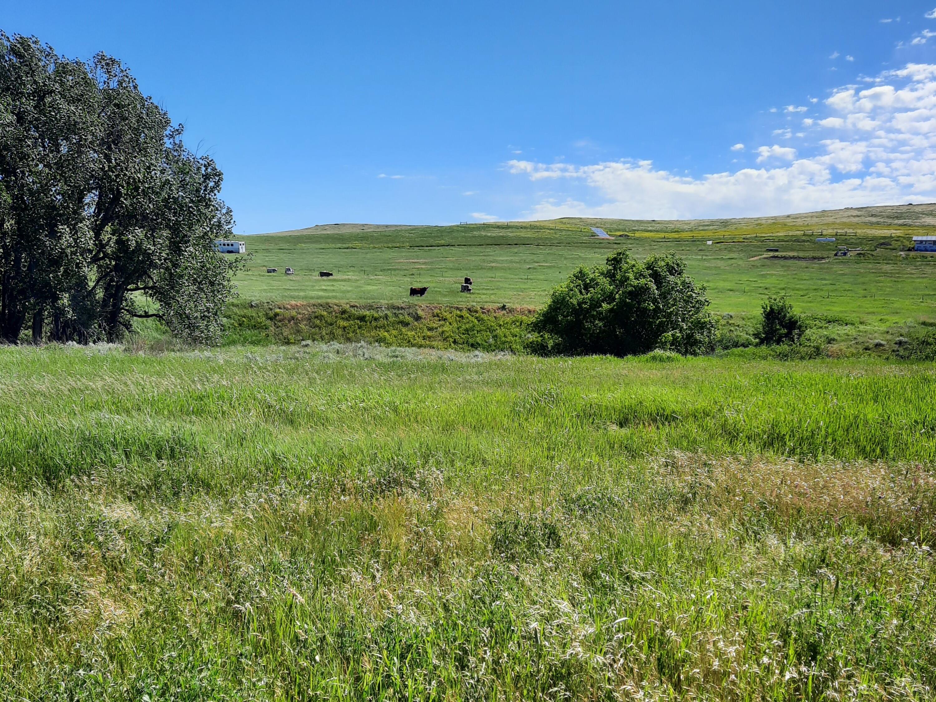 Dry Ranch Road Sheridan, WY 82801 - Photo 20 of 43 20