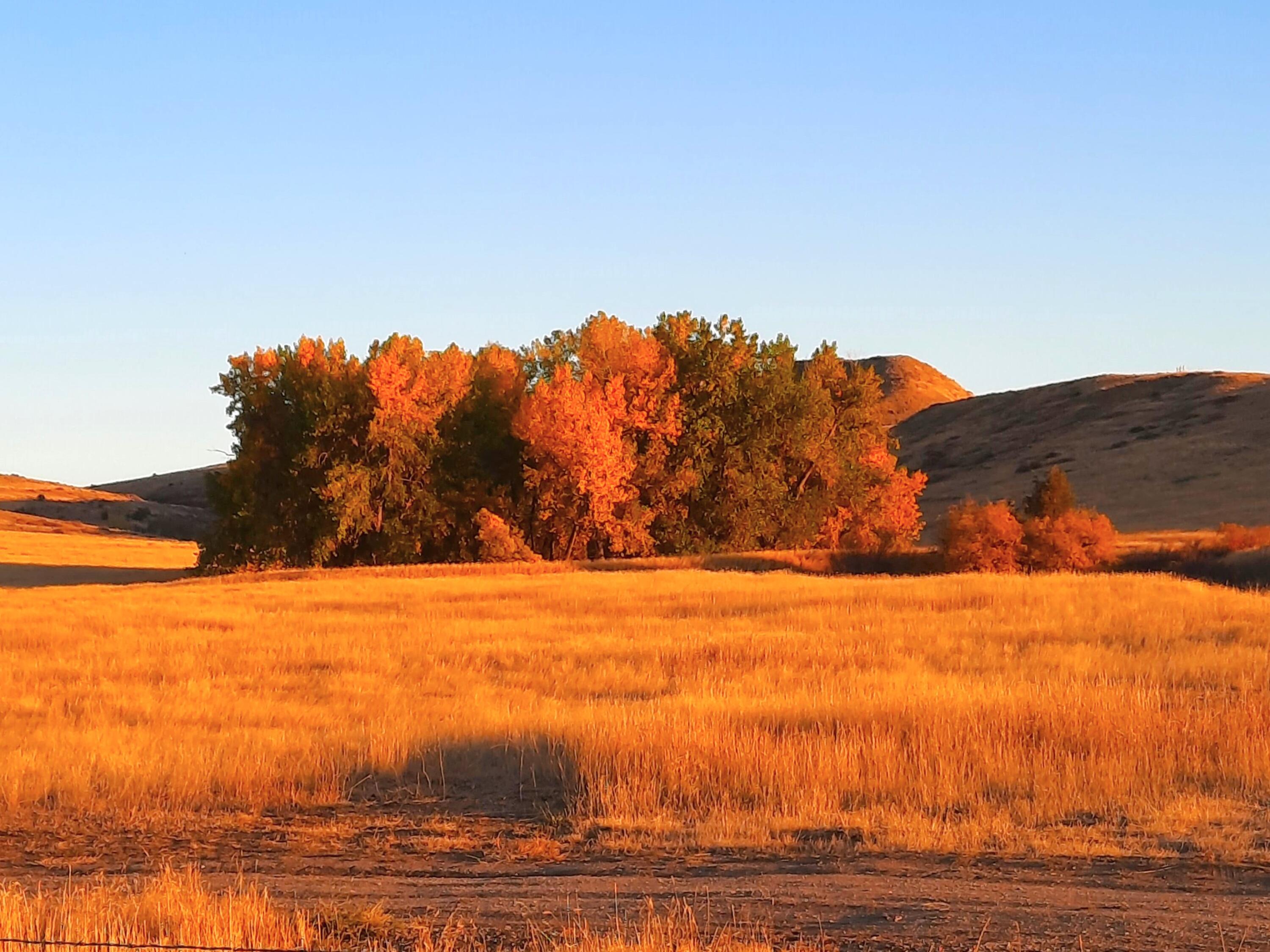 Dry Ranch Road Sheridan, WY 82801 - Photo 21 of 43 21