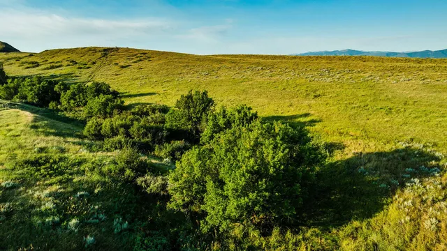 $498,000 | Dry Ranch Road, Sheridan, WY 82801