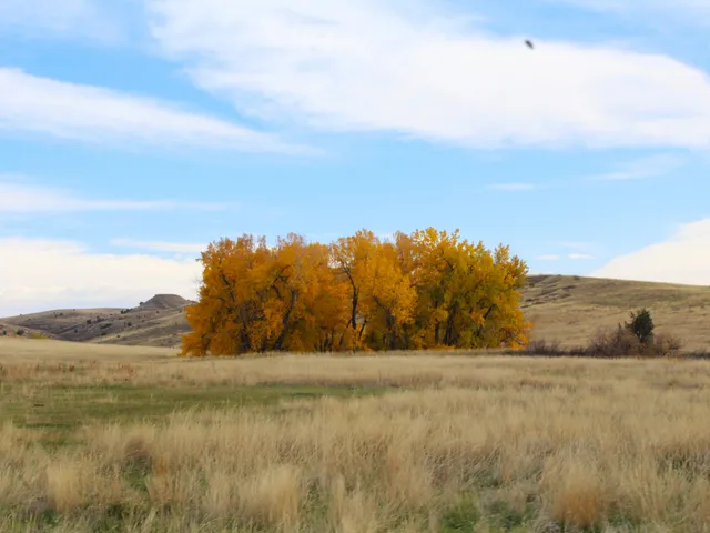 $498,000 | Dry Ranch Road, Sheridan, WY 82801