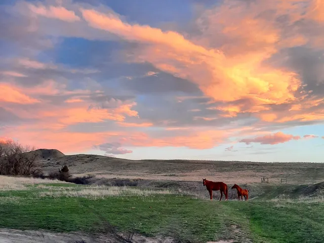 $498,000 | Dry Ranch Road, Sheridan, WY 82801