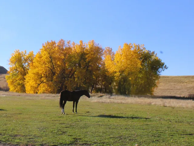 $498,000 | Dry Ranch Road, Sheridan, WY 82801