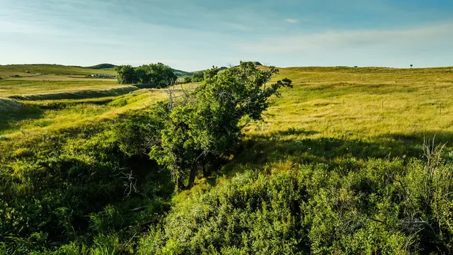 $498,000 | Dry Ranch Road, Sheridan, WY 82801